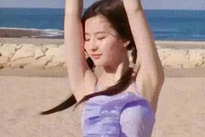 精彩图片展示：精选四张高清美图