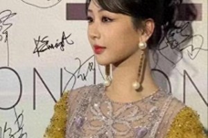 杨紫容貌变化引热议：从灵动到医美过度的争议