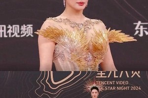 2023星光大赏红毯造型盘点：张雨绮华丽领衔