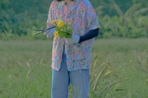 张子枫高考成绩曝光：391分各科详情解析