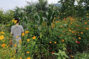 殷桃：从豪宅到演技，揭秘娱乐圈隐形富豪的传奇人生