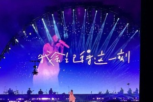 肖战现身孙燕姿演唱会 发文致敬偶像