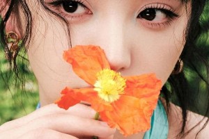 精彩图片集锦：视觉盛宴一览
