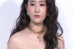 多张精美图片展示