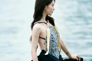 精选图片展示：视觉艺术与创意灵感