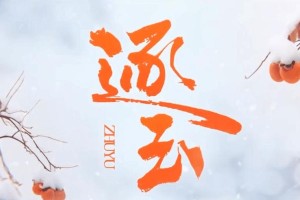 《逐玉》古装剧：张凌赫田曦薇演绎乱世爱情