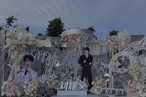 时代少年团海口演唱会：青春梦想与挑战并存